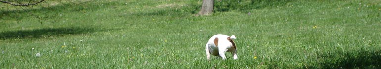 18 year gay sex chat web cam that is live header image 2